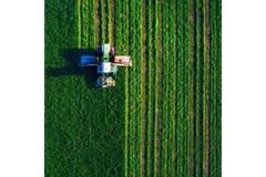 Image Green field.
